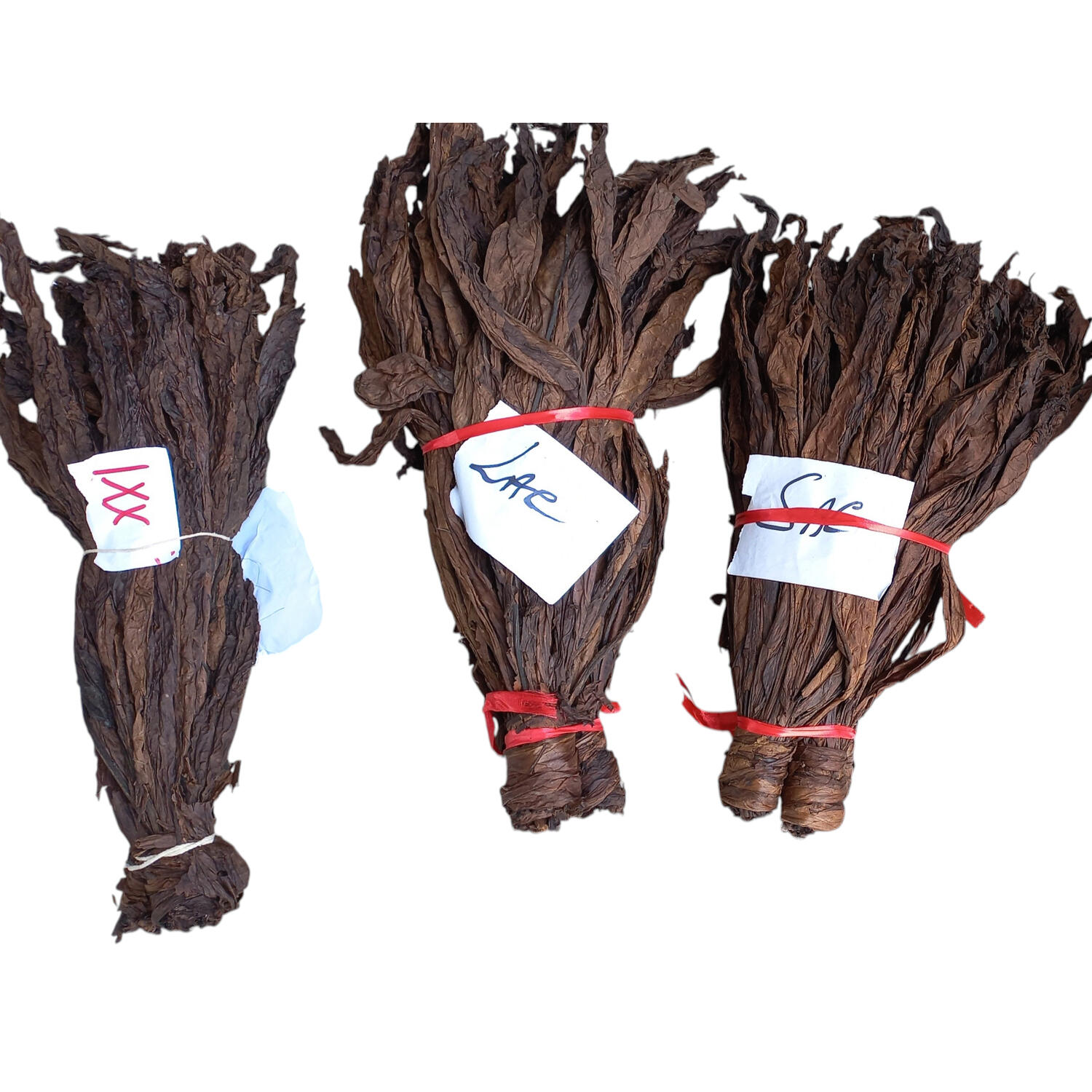 Dark Fire-Cured (DFC) Bold, smoky leaf for cigars, pipe tobacco, and smokeless products.