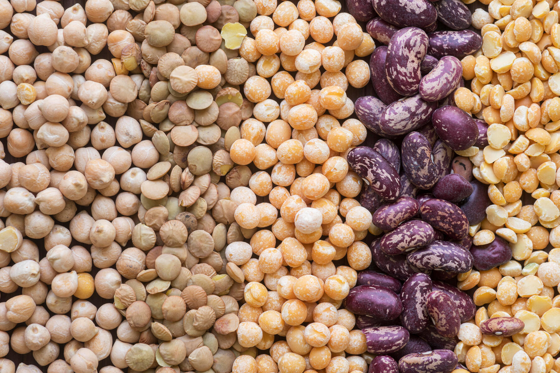 Pulses Common / Kidney Beans Pigeon Peas Green Mung Beans